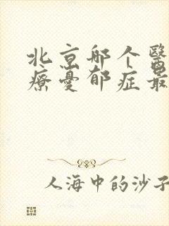 北京哪个医院治疗忧郁症最好封面