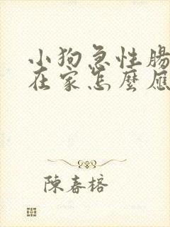 小狗急性肠胃炎在家怎么应急处理