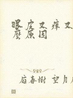 眼皮又痒又肿什么原因