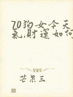70狗女今天运气,财运如何封面