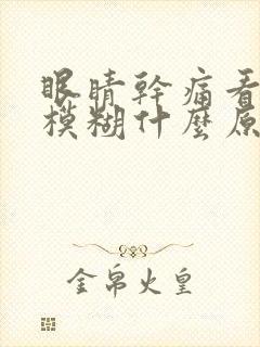 眼睛干痛看东西模糊什么原因