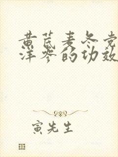 黄芪麦冬党参西洋参的功效作用