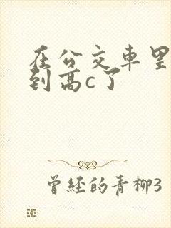 在公交车里c弄到高c了