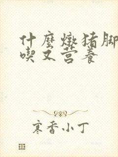 什么炖猪脚汤好吃又营养