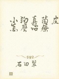小狗真菌皮肤病怎么治疗