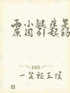 两小腿痒是什么原因引起的