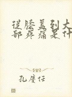 从膝盖到大腿根部疼痛是什么原因