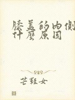 膝盖的内侧痛是什么原因
