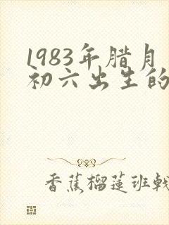 1983年腊月初六出生的人命运封面