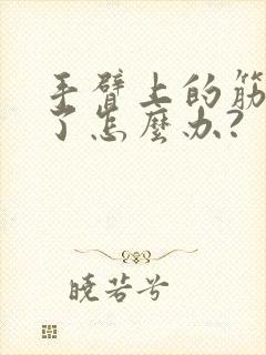 手臂上的筋拉伤了怎么办?封面