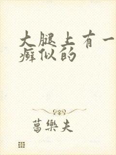 大腿上有一片像癣似的
