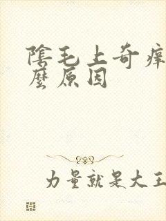 阴毛上奇痒是什么原因