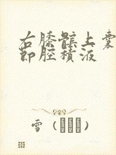右膝髌上囊和关节腔积液