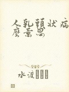 人乳头状病毒什么意思封面