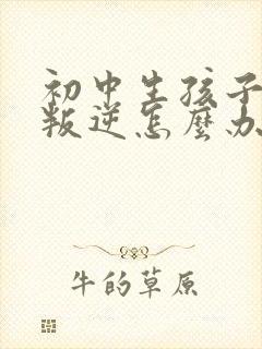 初中生孩子厌学叛逆怎么办