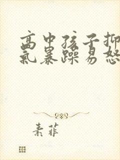高中孩子抑郁脾气暴躁易怒怎么办