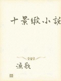 十景缎小说封面