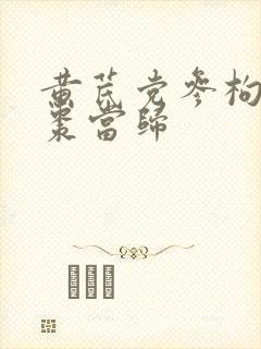 黄芪党参枸杞红枣当归