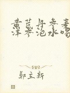 黄芪丹参麦冬西洋参泡水喝的