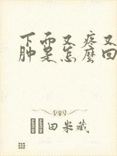 下面又疼又痒又肿是怎么回事