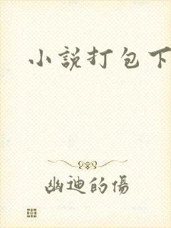 小说打包下载