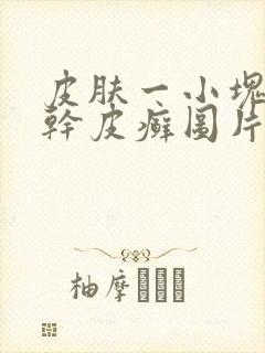 皮肤一小块粗糙干皮癣图片