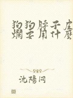 狗狗脖子皮肤溃烂要用什么药封面