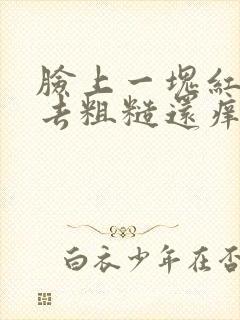 脸上一块红摸上去粗糙还痒脱皮封面