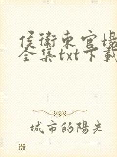 侯卫东官场笔记全集txt下载