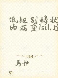 低级别鳞状上皮内病变lsil,建议宫颈活检