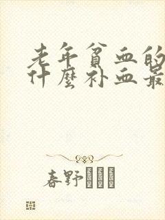 老年贫血的人吃什么补血最快