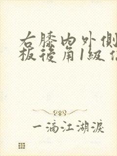 右膝内外侧半月板后角1级信号