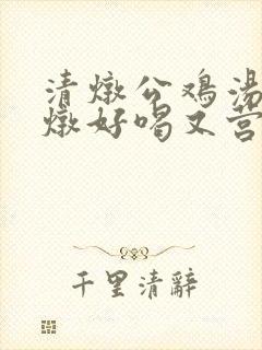 清炖公鸡汤怎么炖好喝又营养