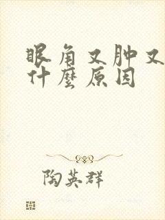 眼角又肿又痒是什么原因封面