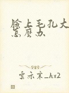 脸上毛孔大出油怎么办封面