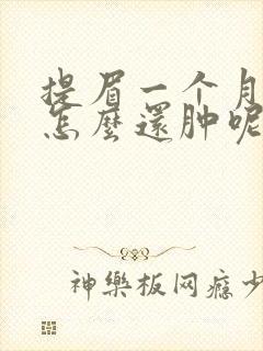 提眉一个月眼皮怎么还肿呢封面