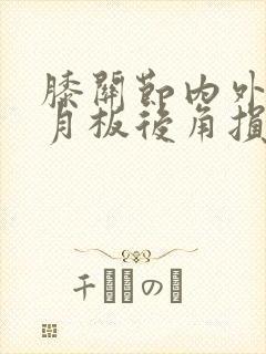 膝关节内外侧半月板后角损伤