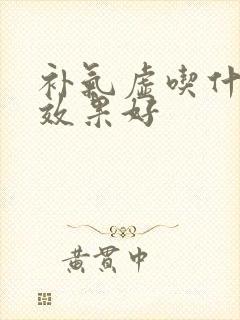 补气虚吃什么药效果好