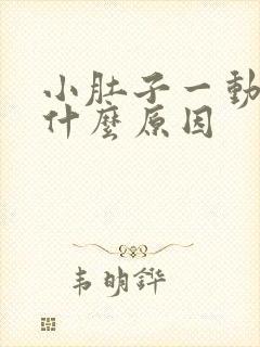 小肚子一动就疼什么原因
