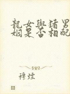 龙女与猪男的婚姻是否相配