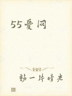 55爱网
