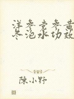 洋参党参黄芪麦冬泡水功效