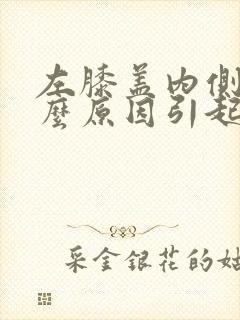 左膝盖内侧痛什么原因引起的