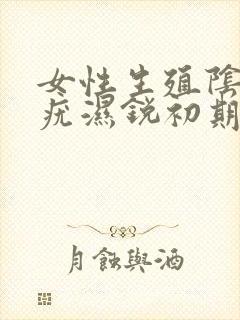 女性生殖阴道尖疣湿锐初期