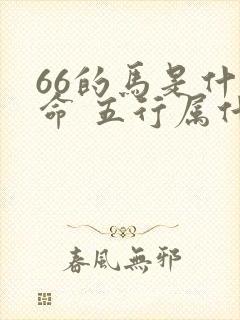 66的马是什么命 五行属什么封面