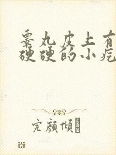 睾丸皮上有很多硬硬的小疙瘩