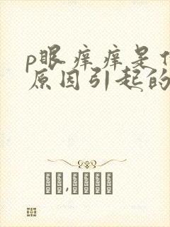 p眼痒痒是什么原因引起的