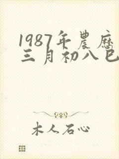 1987年农历三月初八巳时出生的是什么命