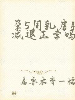 孕5周乳房胀痛减退正常吗