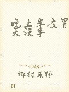 晚上半夜胃疼白天没事封面